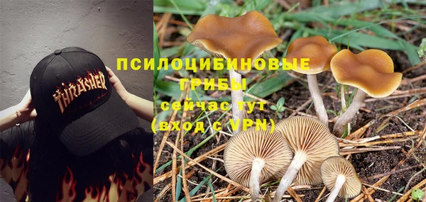 кокаин перу Ладушкин