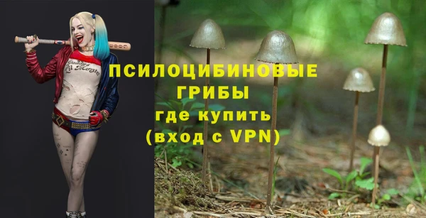 кокаин перу Ладушкин
