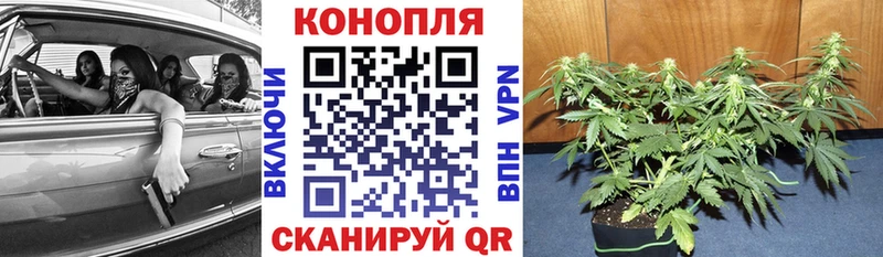 Бошки Шишки ГИДРОПОН  Кочубеевское 